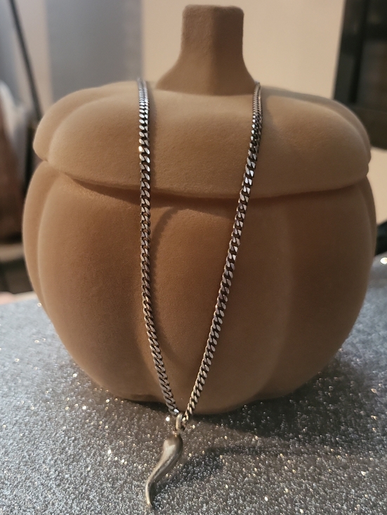 Jewelry - 🩶925 Made In Italy - Sterling Silver Italian Horn Pendant Necklace